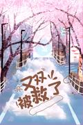 同人文集