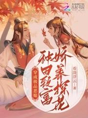 只想做你的小白脸2