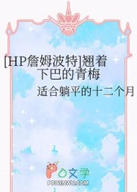 超级医婿在都市