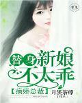 超级医婿叶天苏轻语免费全文